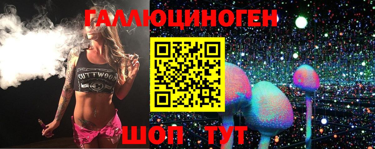 где продают   Псилоцибиновые грибы Psilocybine cubensis  Вход с VPN  Верхняя Пышма 